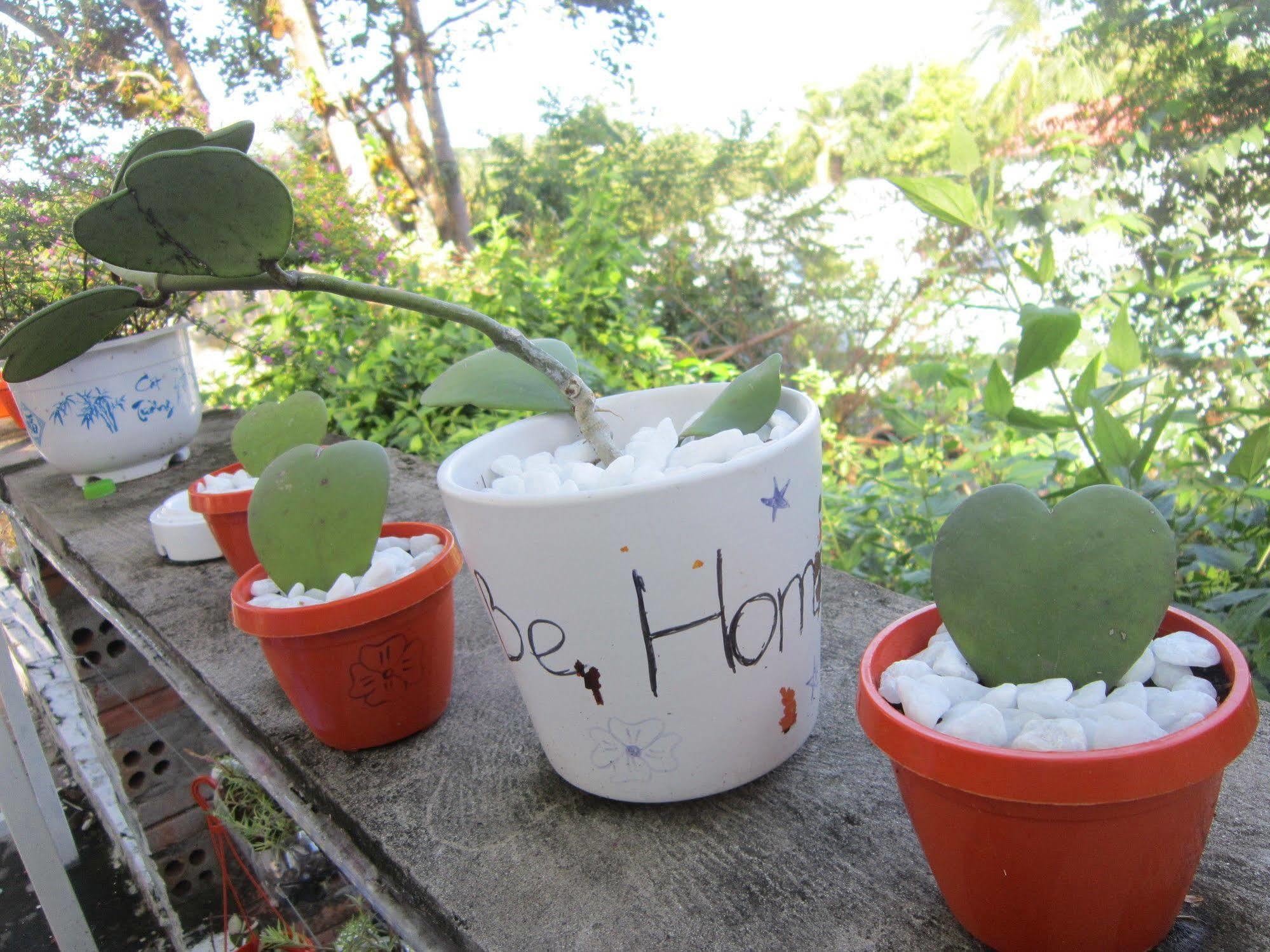 Be Home Hostel ฟู้โกว๊ก ภายนอก รูปภาพ