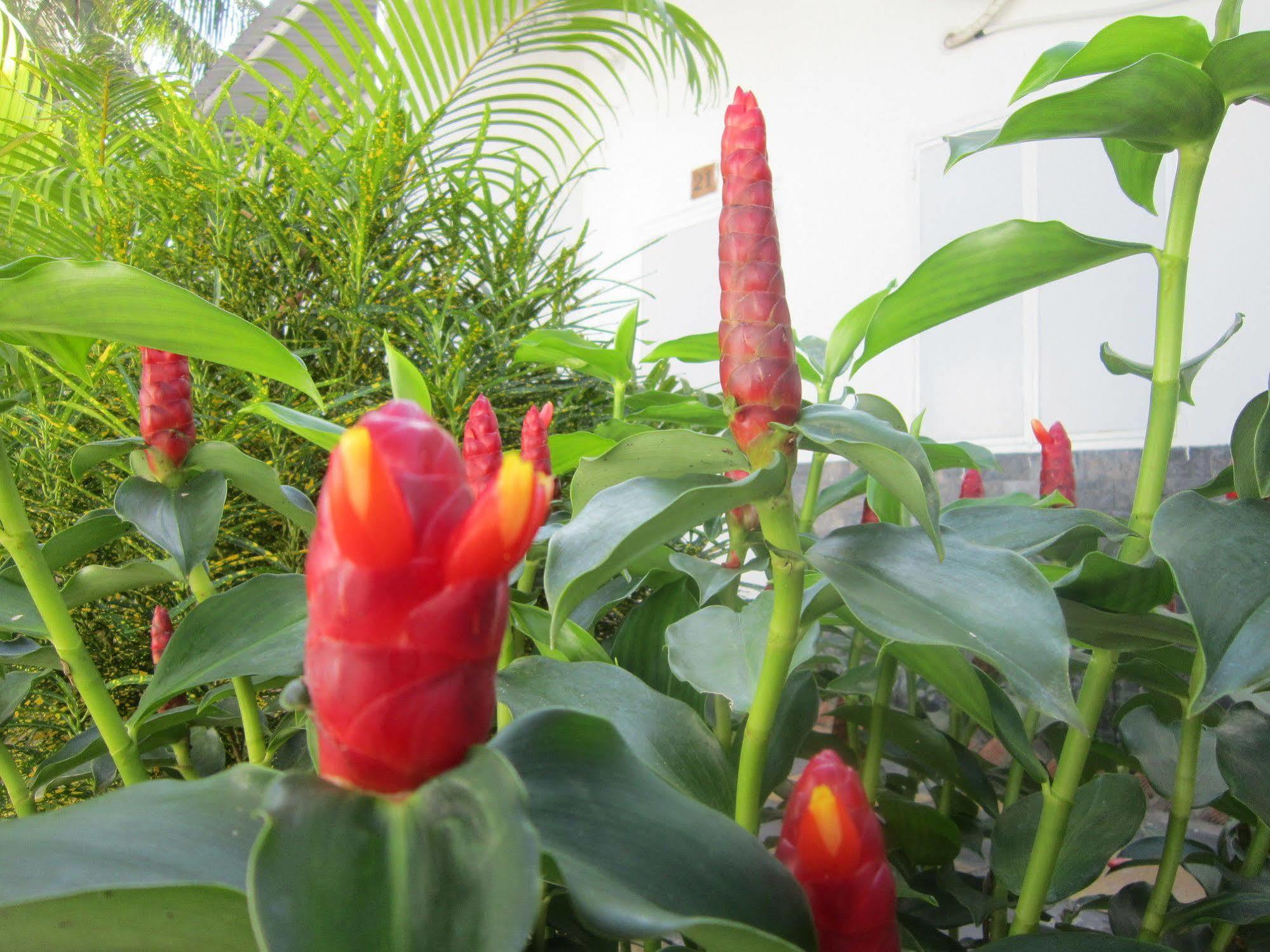 Be Home Hostel ฟู้โกว๊ก ภายนอก รูปภาพ