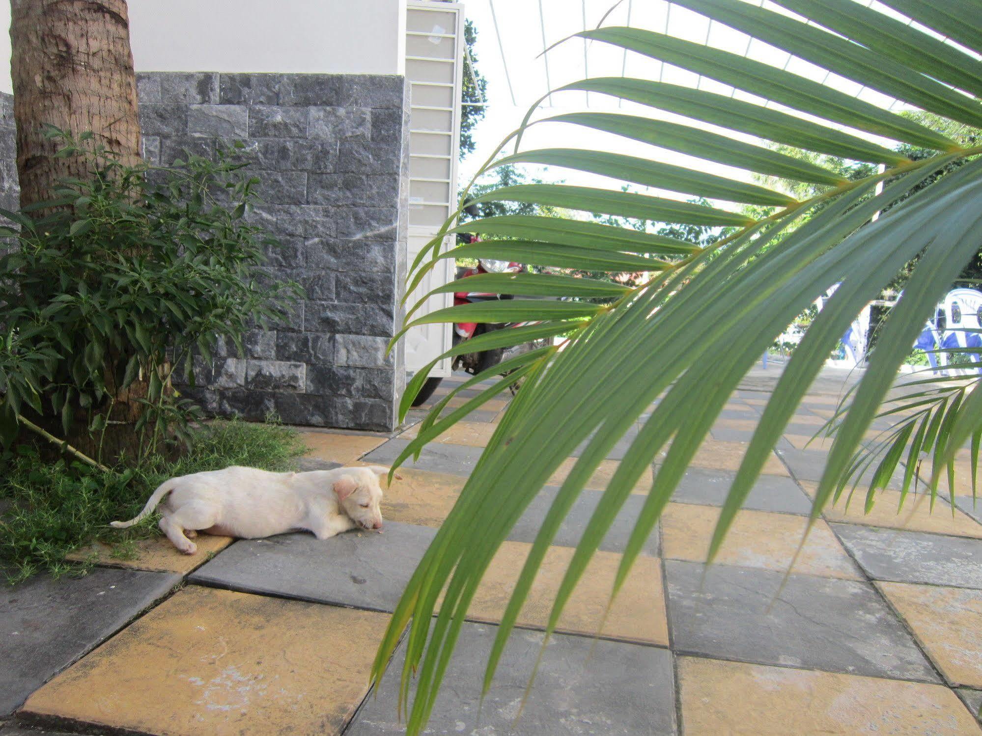 Be Home Hostel ฟู้โกว๊ก ภายนอก รูปภาพ